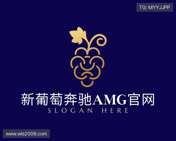 了解新葡萄奔驰AMG官网